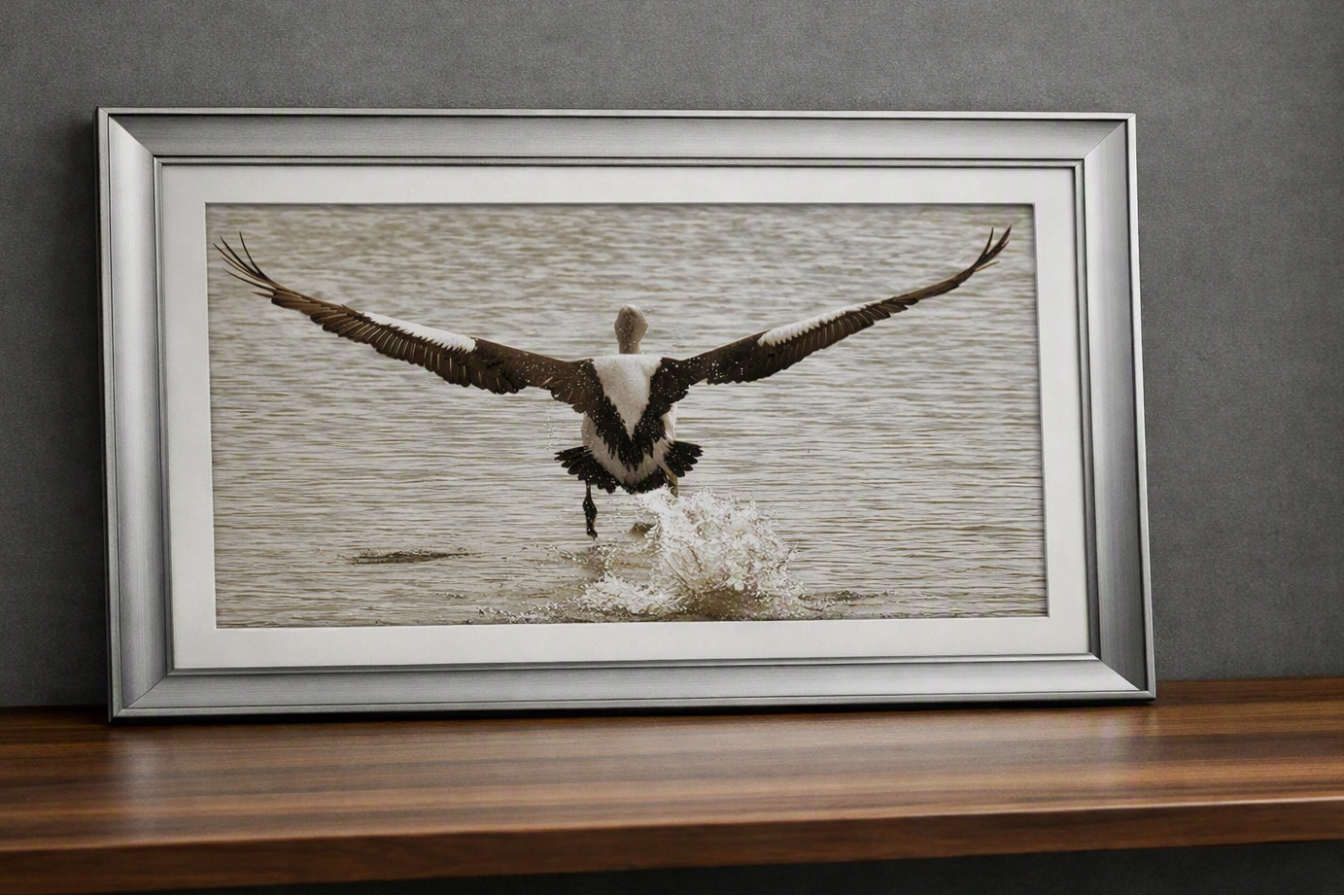 Digital print of Pelican taking flight